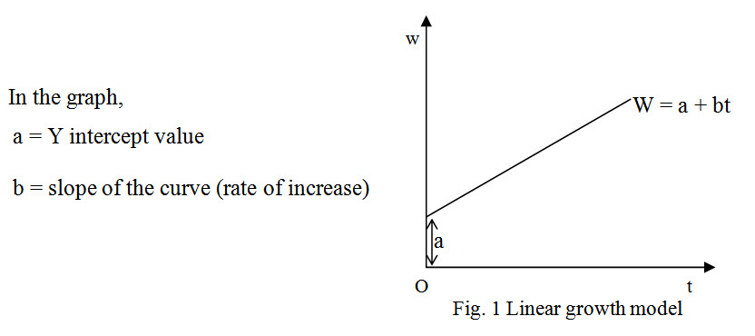 se-lesson-2-linear-growth-model